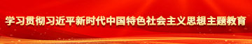 jj插bb白虎视频学习贯彻习近平新时代中国特色社会主义思想主题教育